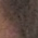 Profile picture of Emily Lim